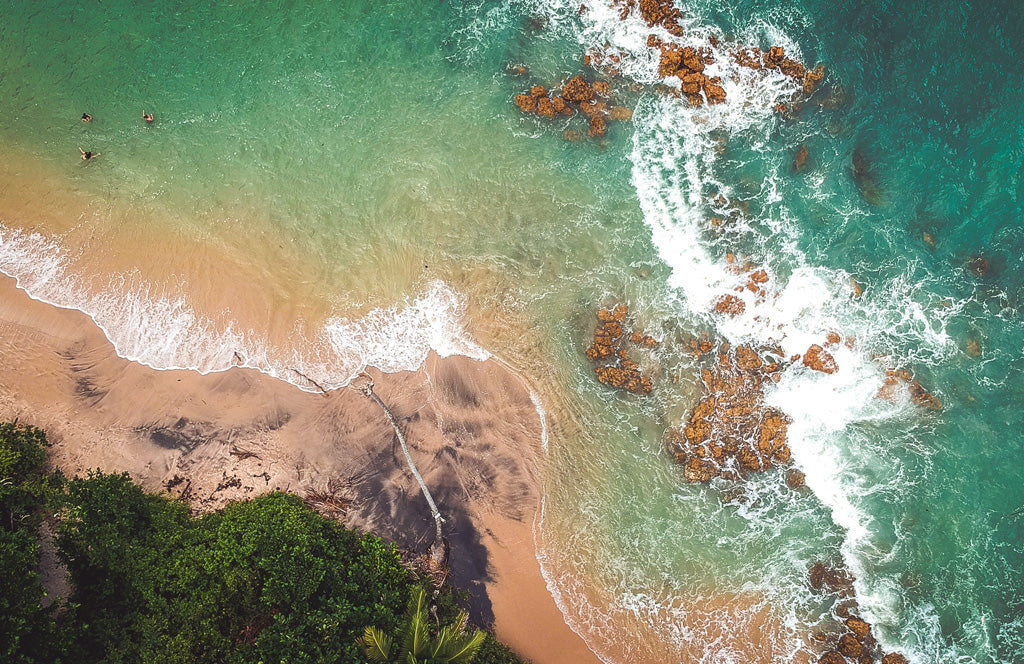 8 Ways to go help save the planet during plastic-free July