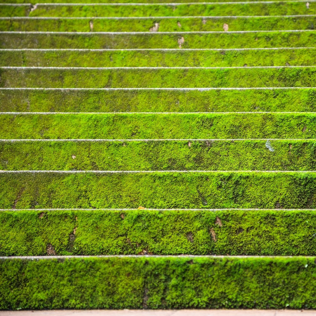 Microsteps to Change