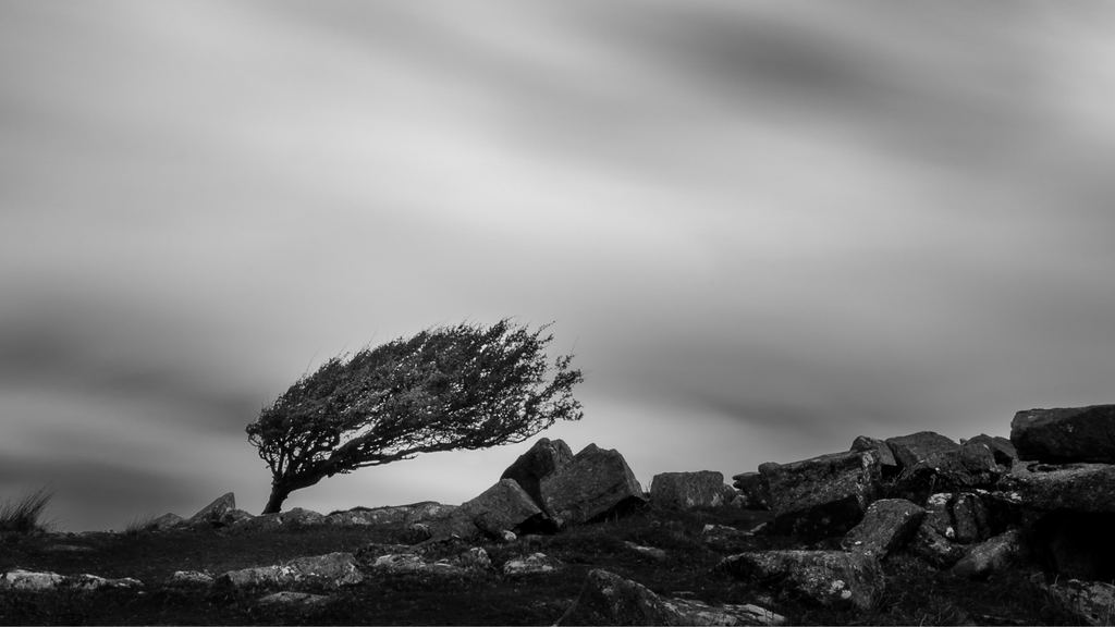 5 Ways to build resilience