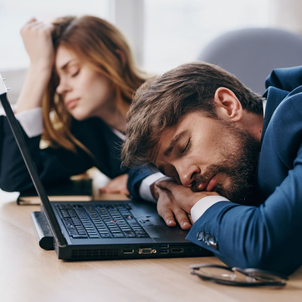 The Sleep Boss - Workplace Wellness