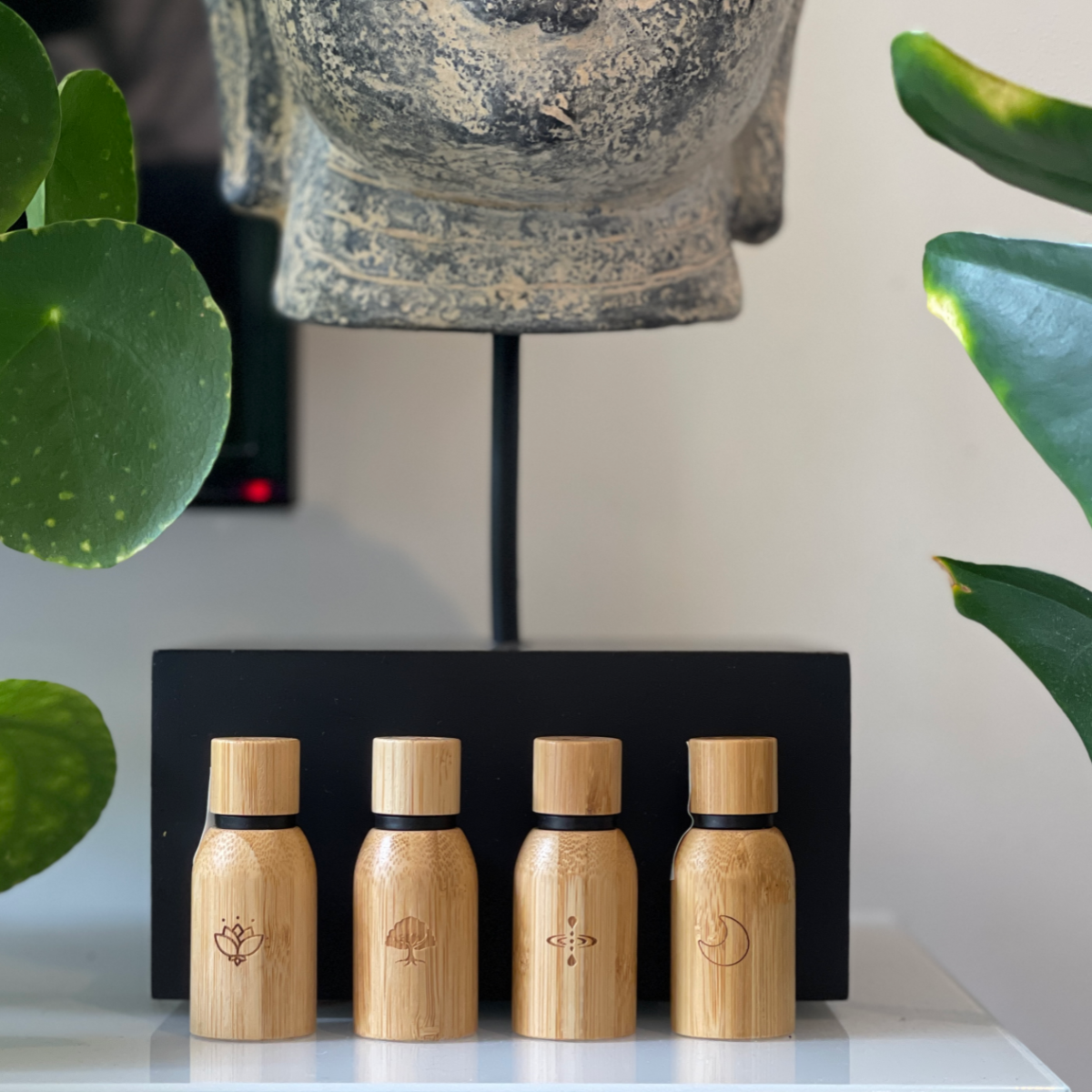 15ml Pure Essential Oils Bundle